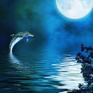 Meet your Posher, Joann